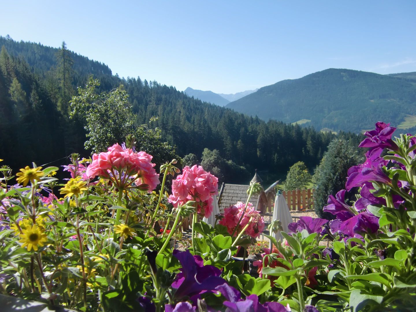 Halmgut In Eben Im Pongau - Unterkunft Buchen