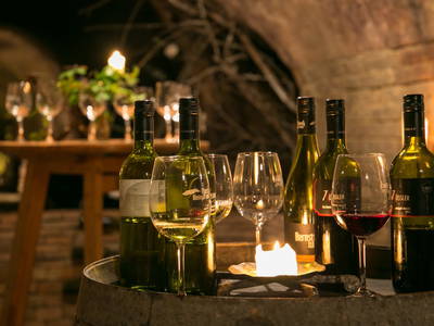 Bild 154 aus  Winzerhof Küssler, Weinviertel