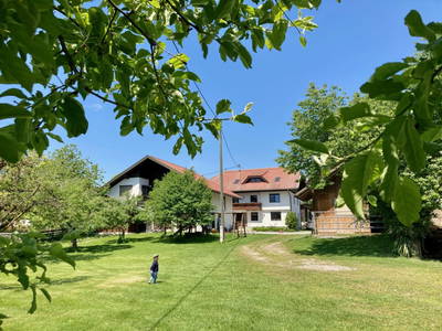 Bild 68 aus  Beim Leben