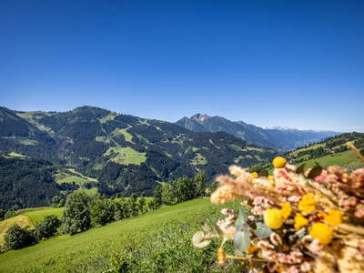 Bild 81 aus  Durchholzalm | Das Chalet am Floitensberg