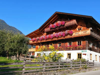 Bild 2 aus  BIO-Bauernhof Redlerhof