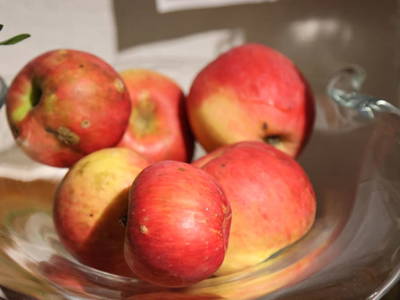 Bild 130 aus  Buchgrabenhof