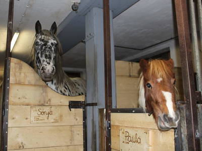 Bild 50 aus  Kinderbauernhof Leneler