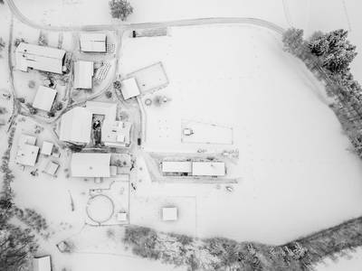 Bild 57 aus  Biohof Greflgut