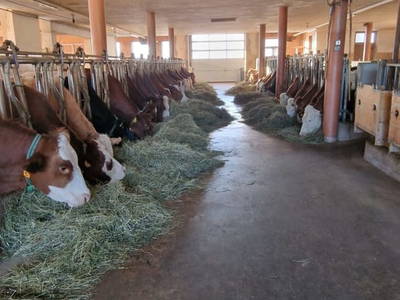 Bild 6 aus  Harlandhof