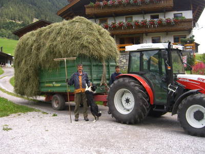 Bild 26 aus  Hoisnhof - Urlaub am Bauernhof - Gries im Sellrain