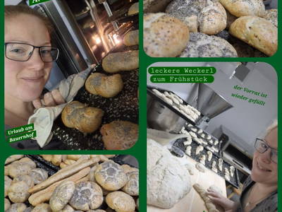 Bild 56 aus  Einkehrhof Poggau