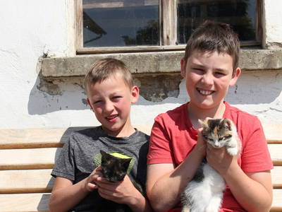 AVA-Agrar Verlag Allgäu GmbH - Allgäuer Bauernblatt / E. Bodenmüller