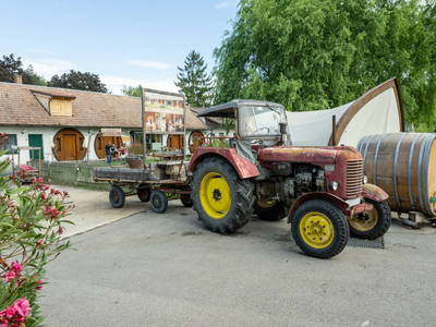 Bild 328 aus  Winzerhof Küssler, Weinviertel