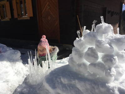 Bild 18 aus  Almhaus Gensbach