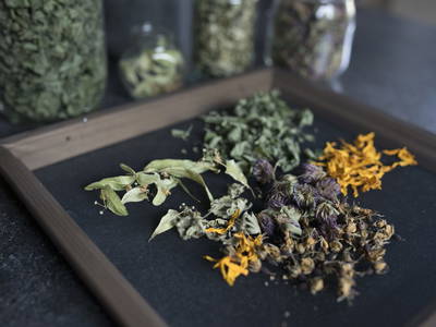 Bild 26 aus  Ferienwohnung Biohof Brandner