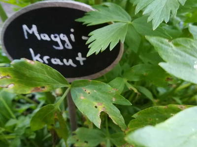 Bild 97 aus  Tobadillerhof Kinderbauernhof Pitztal Tirol