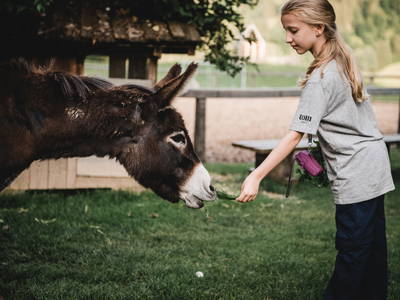 Bild 268 aus  Proneben Gut - Erlebnisbauernhof u. Kuschelhütten