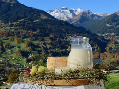 Bild 17 aus  Därflihof