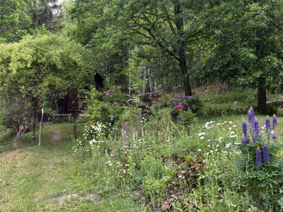 Bild 4 aus  Kräutlhütte Auer