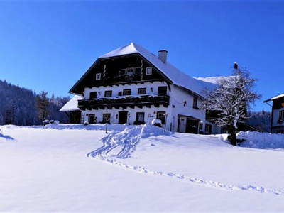 Bild 97 aus Wohlfühlbauernhof Bambichlgut