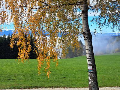 Bild 12 aus  Langhanshütte