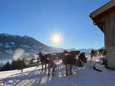 Bild 10 aus  Tuscherhof