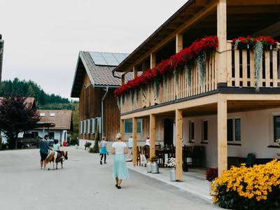 Bild 72 aus  Biohof Greflgut