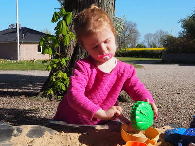 Bild 37 aus  Hinrich's Ostsee Bauernhof