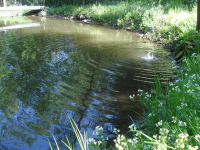 Bild 101 aus  Pieber-Staberhof