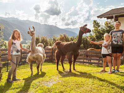 Bild 14 aus  Residence Garni Melcherhof