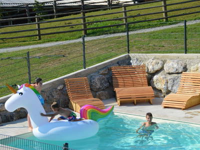 Bild 22 aus  Forstbauer