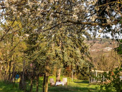 Bild 14 aus  Naturgartenurlaub - Steffis Ferienwohnungen