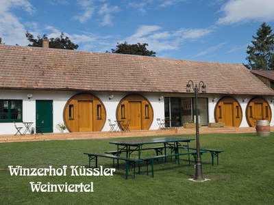 Bild 171 aus  Winzerhof Küssler, Weinviertel