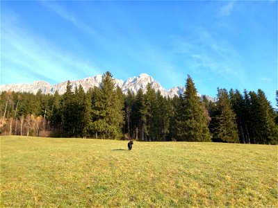 Bild 12 aus Christerbauerhof