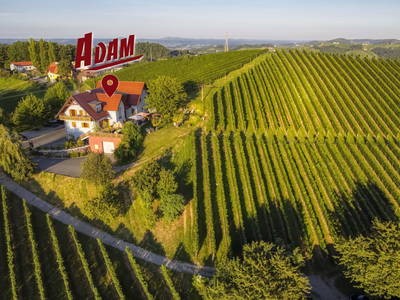 Bild 8 aus  Weingut Gästezimmer Adam