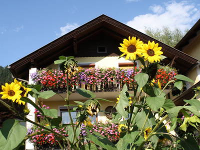 Bild 82 aus  Hoferhof