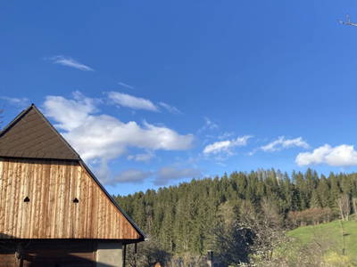 Bild 157 aus  Apartment "Kalbschädl"