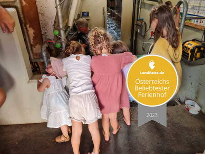 Bild 26 aus  Taxengut