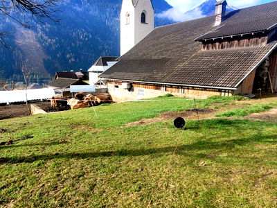 Bild 8 aus Biohof Untermar