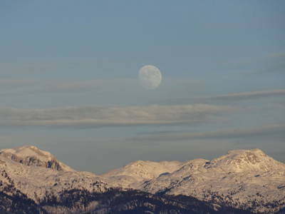 Bild 256 aus  Stanglhof