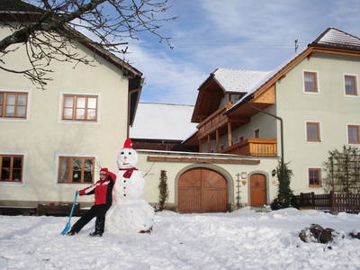 Bild 45 aus  Rauscherhof