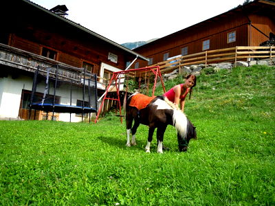 Bild 82 aus Bauernhof Wachtlerhof