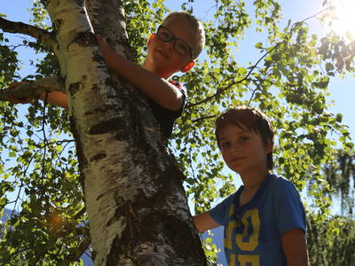 Bild 15 aus  Grahbergalm