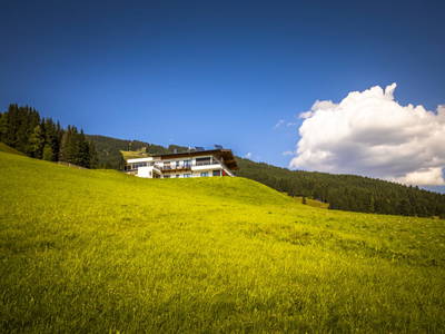 Bild 49 aus  Lienbichl