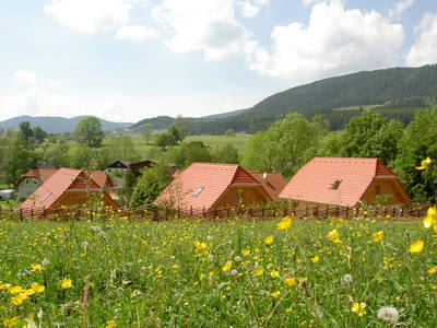 Bild 76 aus  Miniponyhof Wild