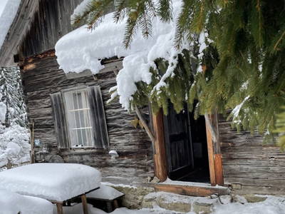 Bild 61 aus  Unplugged Almhütte "Waldbauer" in Alleinlage