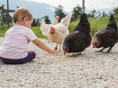 Bild 51 aus  Chalet Jochwand