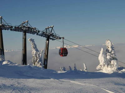 Bild 17 aus  Bio Bauernhof Öbrist