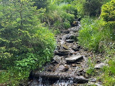 Bild 107 aus Neuwirth Hütte