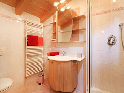 Bild 38 aus  Blattlbauer