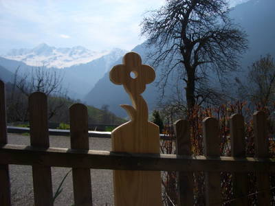 Bild 32 aus  Bio und Bergbauernhof Saller 