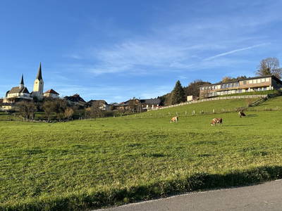 Bild 154 aus Lacknerhof in Liebenfels- Familie Klocker