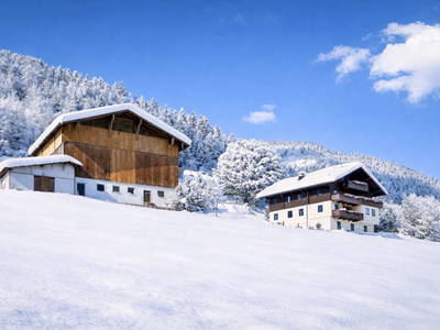 Bild 24 aus  Wengerbauer