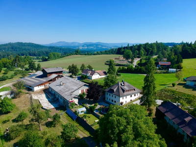 Bild 18 aus  Kollehof